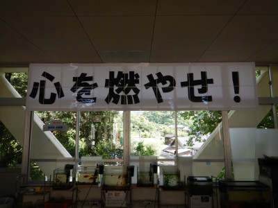 運動会練習開始 (14)