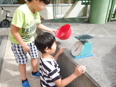 3年生重さ調べ (4)
