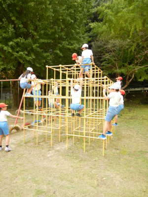 1・2・3年生体育ジャングルジム (1)