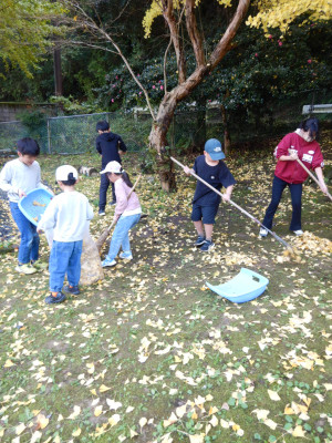 落ち葉掃除 (2)
