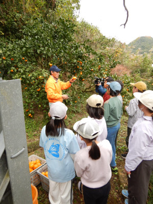 みかん学習 (4)