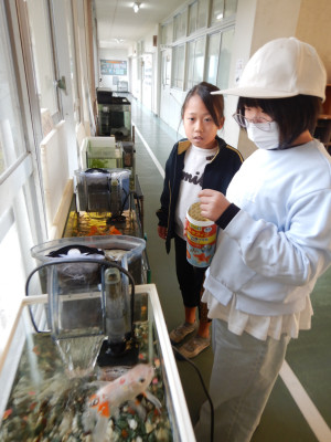 えさやり泉谷水族館 (1)