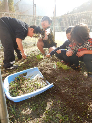 1・2年生生活科 (3)