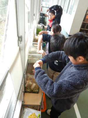 泉水谷水族館の手入れ (2)