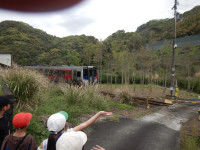 DSCN3955