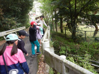 DSCN9374