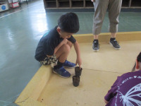 IMG_2254