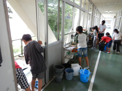 3･4年生総合／泉谷谷水族館の手入れ (3)