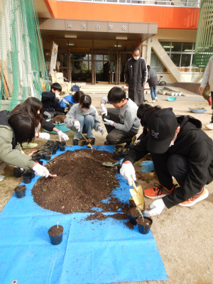 5・6年生総合フジバカマを植える (7)